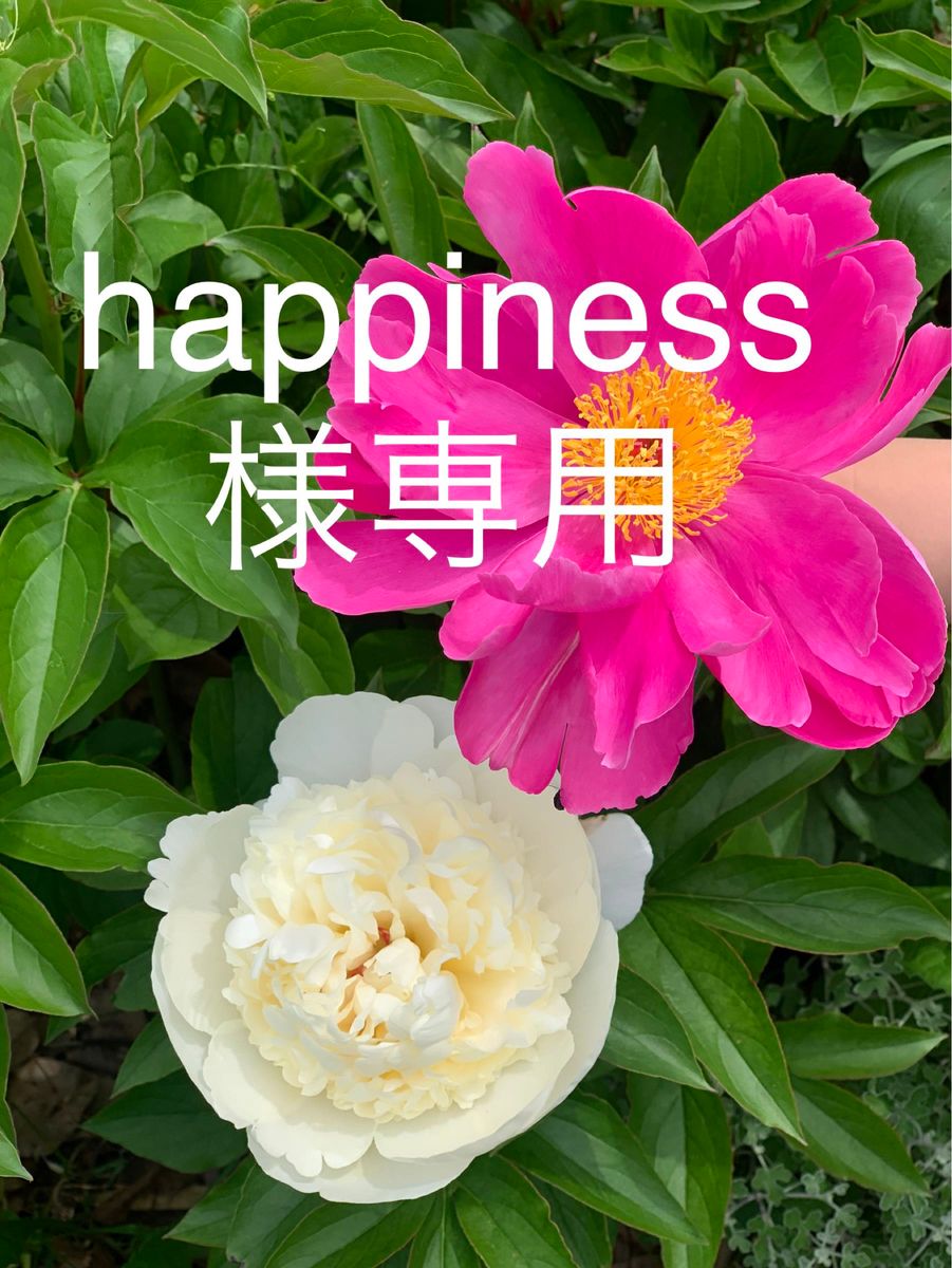 happiness様 専用』｜PayPayフリマ