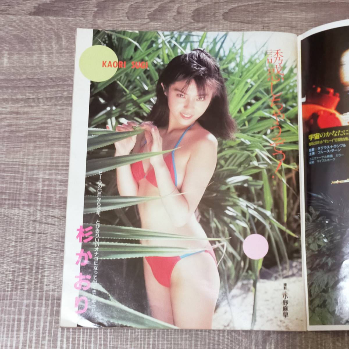 【月刊誌】 ACTRESS アクトレス 1986年 10月号 昭和61年 堀江しのぶ 杉かおり 可愛かずみ 城源寺くるみ 竹下ゆかり 葉山レイコ 栗原あさみ_画像4