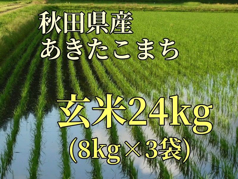新米】秋田県産あきたこまち精米用玄米24kg【無料精米対応可能】 Yahoo