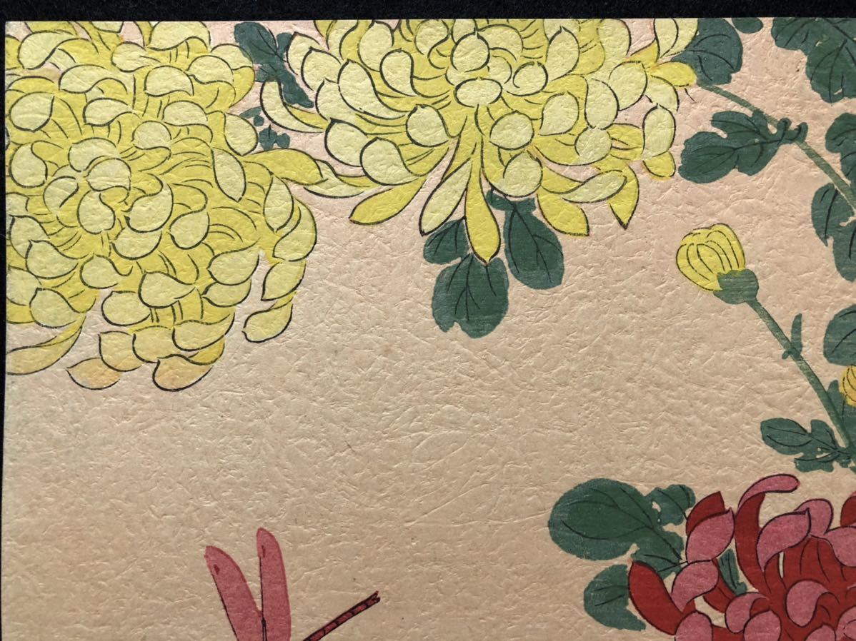 木版画 哥陽【蜻蛉に菊】明治期 中判 真作 □ 浮世絵 錦絵 日本 木版画 哥陽【蜻蛉に菊】明治期 中判 真作 □ 浮世絵 錦絵 日本