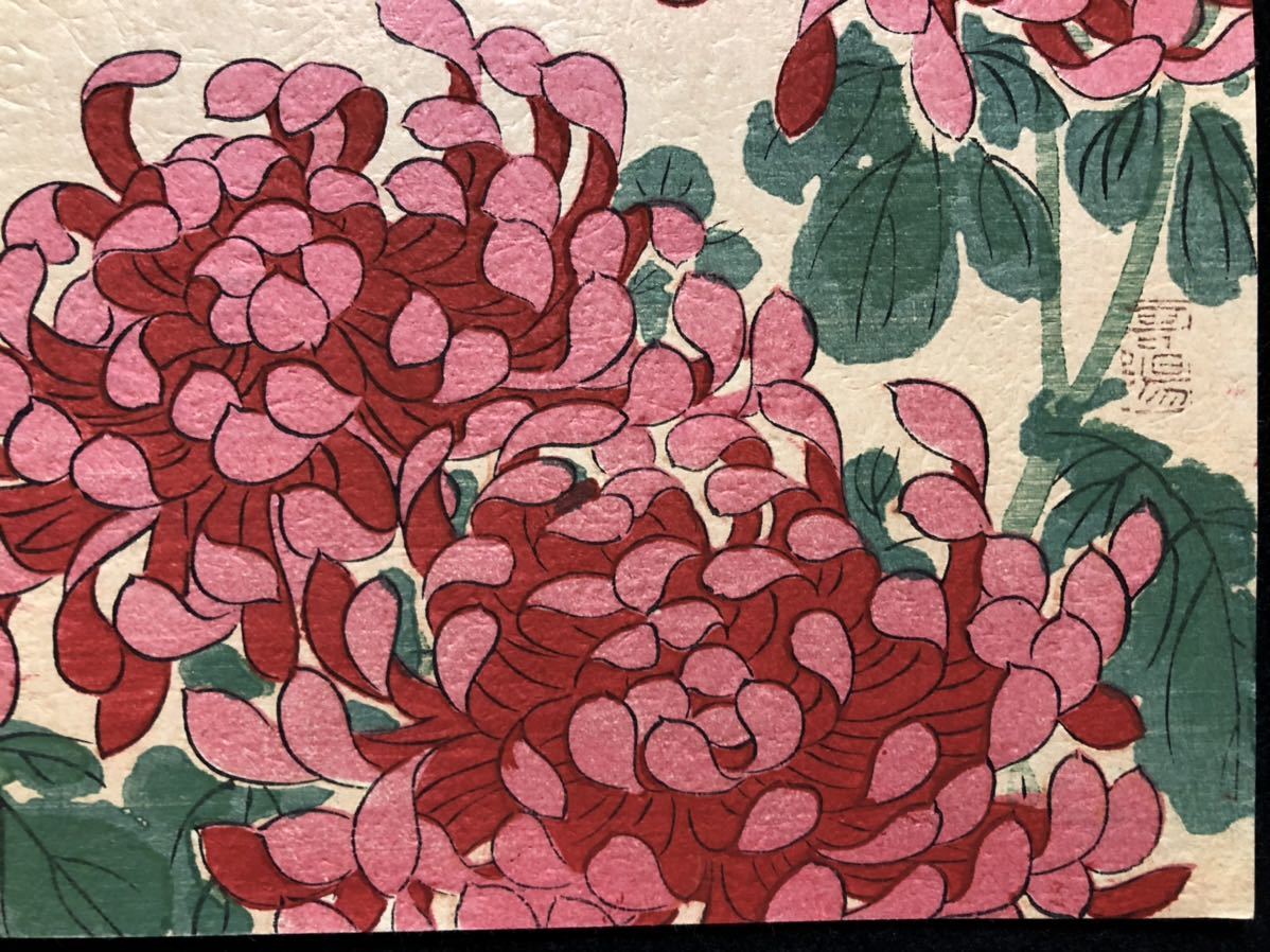 木版画 哥陽【蜻蛉に菊】明治期 中判 真作 □ 浮世絵 錦絵 日本 木版画 哥陽【蜻蛉に菊】明治期 中判 真作 □ 浮世絵 錦絵 日本