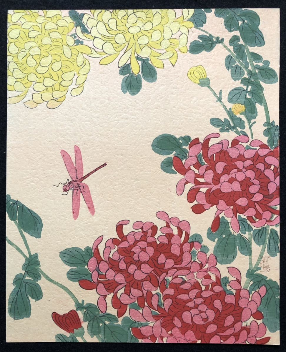 Yahoo!オークション - 木版画 哥陽【蜻蛉に菊】明治期 中判 真作 Yahoo!オークション - 木版画 哥陽【蜻蛉に菊】明治期 中判 真作