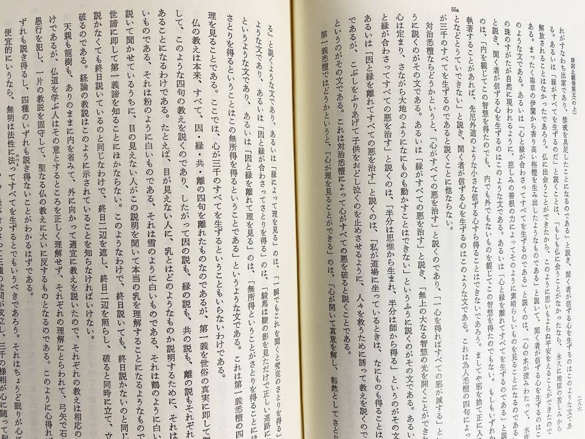 ■詳解 摩訶止観 天地人 全3巻揃【定本訓読篇・研究註釈篇・現代語訳篇】大蔵出版　池田魯参=著　●仏教論書 天台宗 智顗_画像6