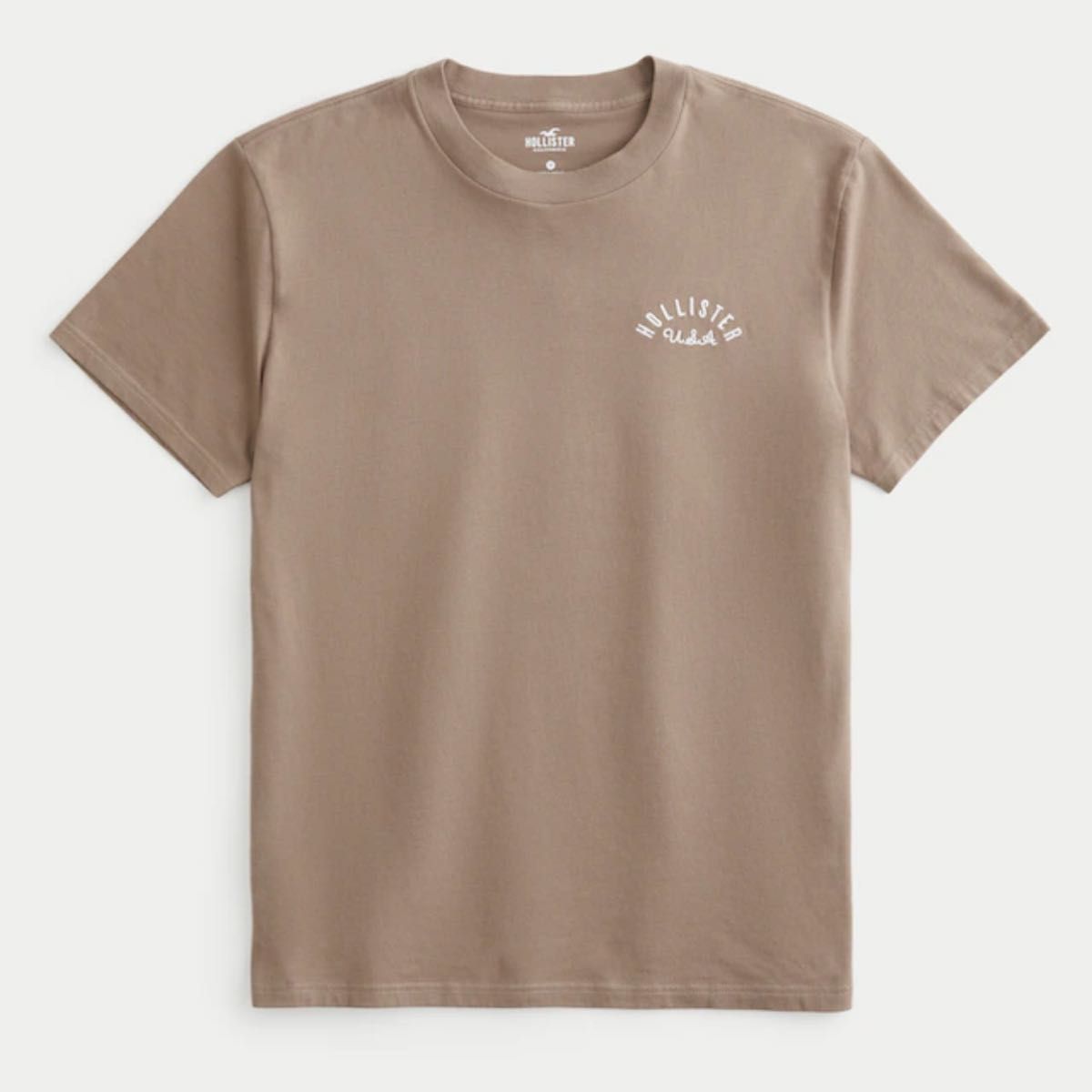 HOLLISTER ロゴグラフィックTシャツ XL 半袖Tシャツ T-SHIRT Tee
