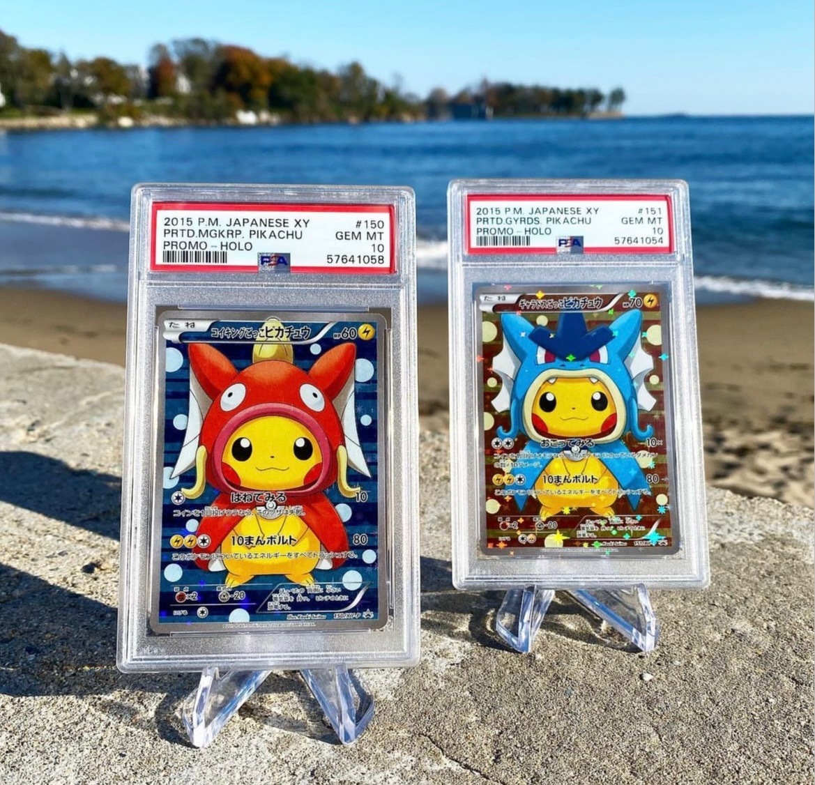 ファッションの ポケモンカード ポンチョを着たピカチュウ GBS PSA PRTD.GYRDS.PIKACHU シングルカード ファッションの ポケモンカード ポンチョを着たピカチュウ GBS PSA PRTD.GYRDS.PIKACHU シングルカード