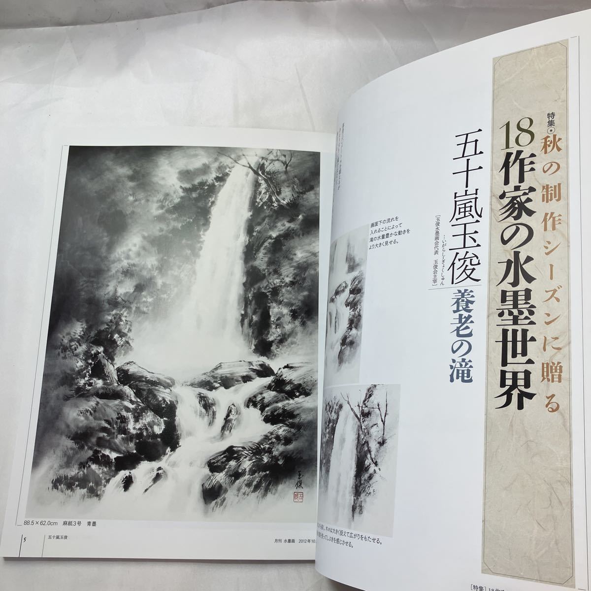 zaa-502 月刊水墨画2012年10月号 【特集】秋の制作シーズンに zaa-502 月刊水墨画2012年10月号 【特集】秋の制作シーズンに