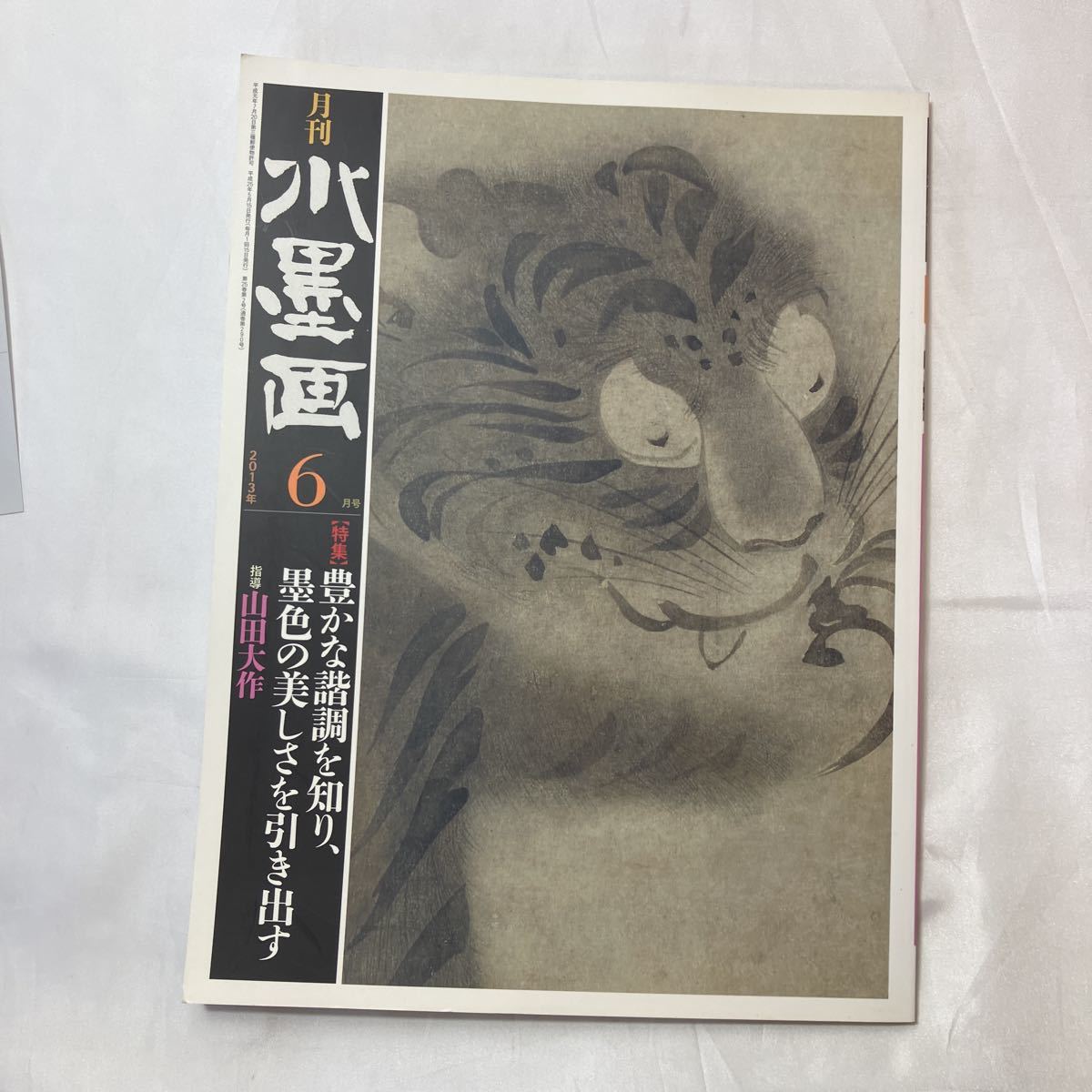 zaa-502 月刊水墨画2013年6月号 【特集】豊かな諧調を知り 墨色 zaa-502 月刊水墨画2013年6月号 【特集】豊かな諧調を知り 墨色