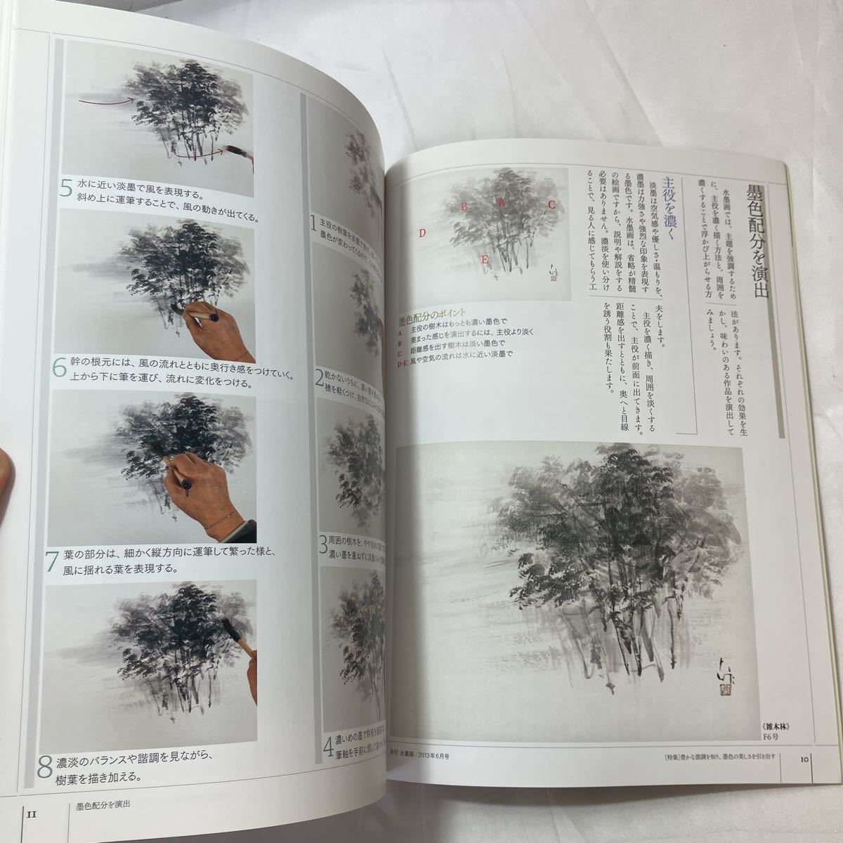 zaa-502 月刊水墨画2013年6月号 【特集】豊かな諧調を知り 墨色 zaa-502 月刊水墨画2013年6月号 【特集】豊かな諧調を知り 墨色