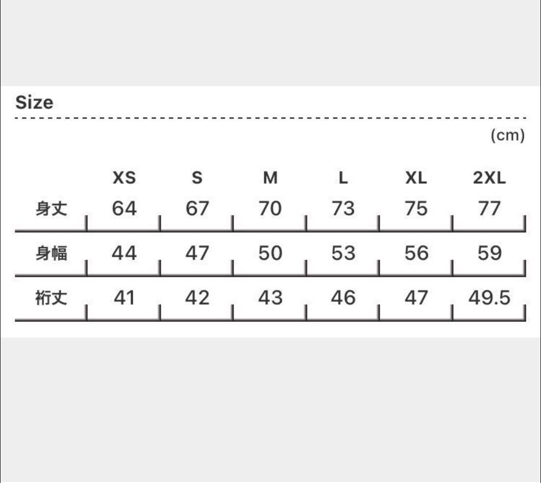  новый товар XL/ стоимость доставки 230 иен / включение в покупку 2 листов возможно /giru Dan 5.3oz / NEW AGE STEPPERS New Age степпер z/ футболка белый 