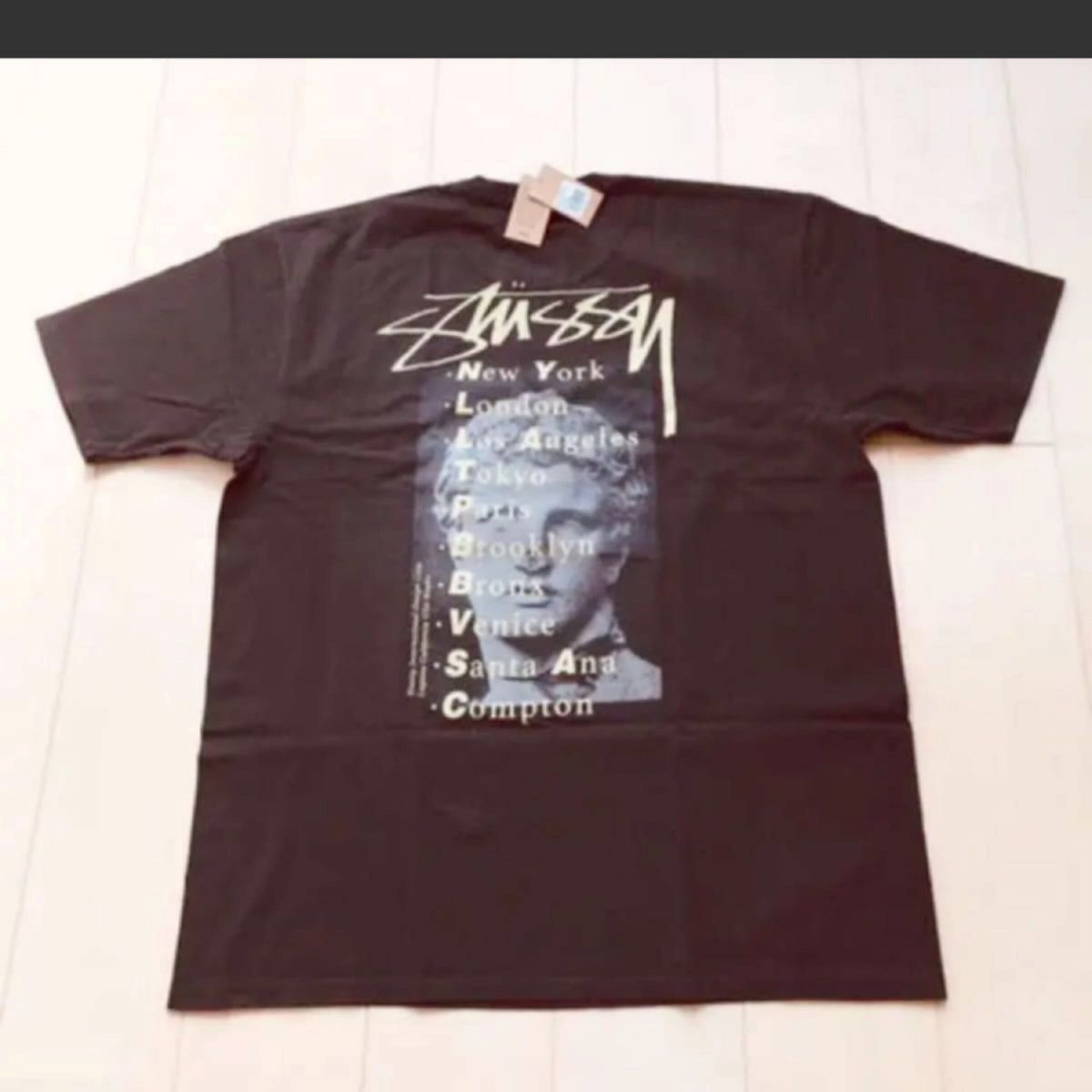 ★大幅値下★新品【大人気・入手困難】STUSSY Tシャツ /黒 M