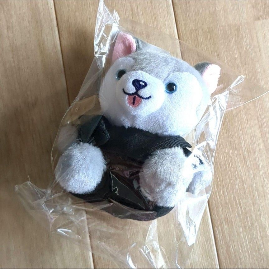 ノキドア 倒理犬 松村北斗|Yahoo!フリマ(旧PayPayフリマ) ノキドア 倒理犬 松村北斗|Yahoo!フリマ(旧PayPayフリマ)
