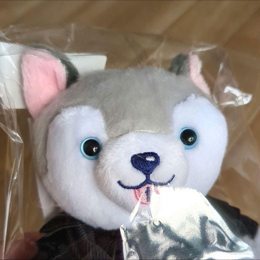 ノキドア 倒理犬 松村北斗|Yahoo!フリマ(旧PayPayフリマ) ノキドア 倒理犬 松村北斗|Yahoo!フリマ(旧PayPayフリマ)