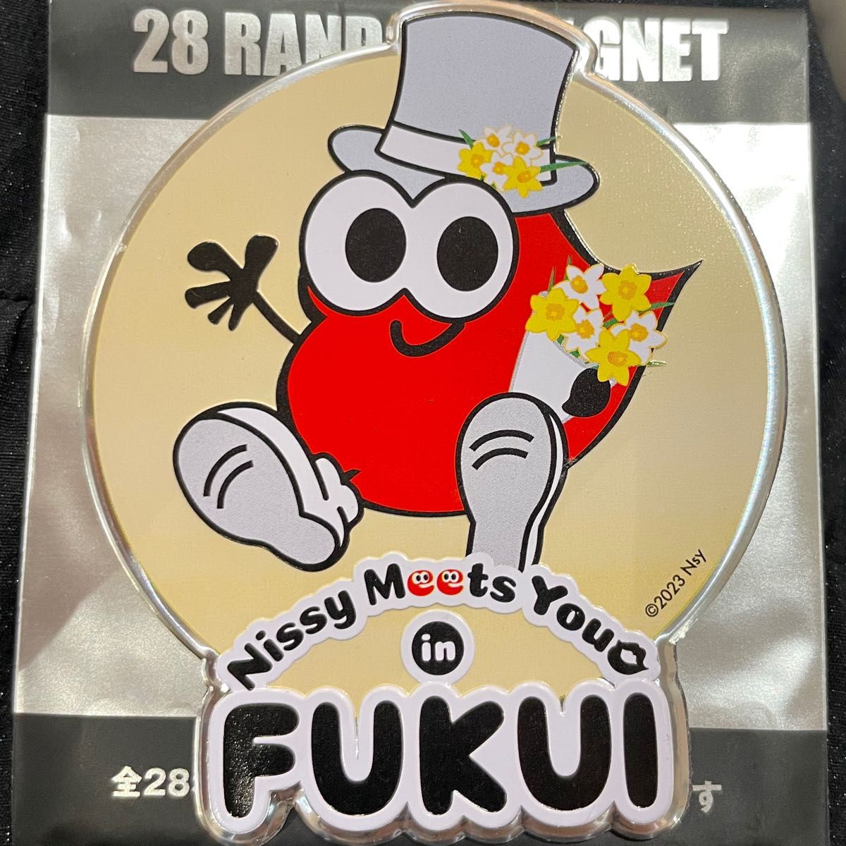 Nissy マグネット マグネッピー 福井