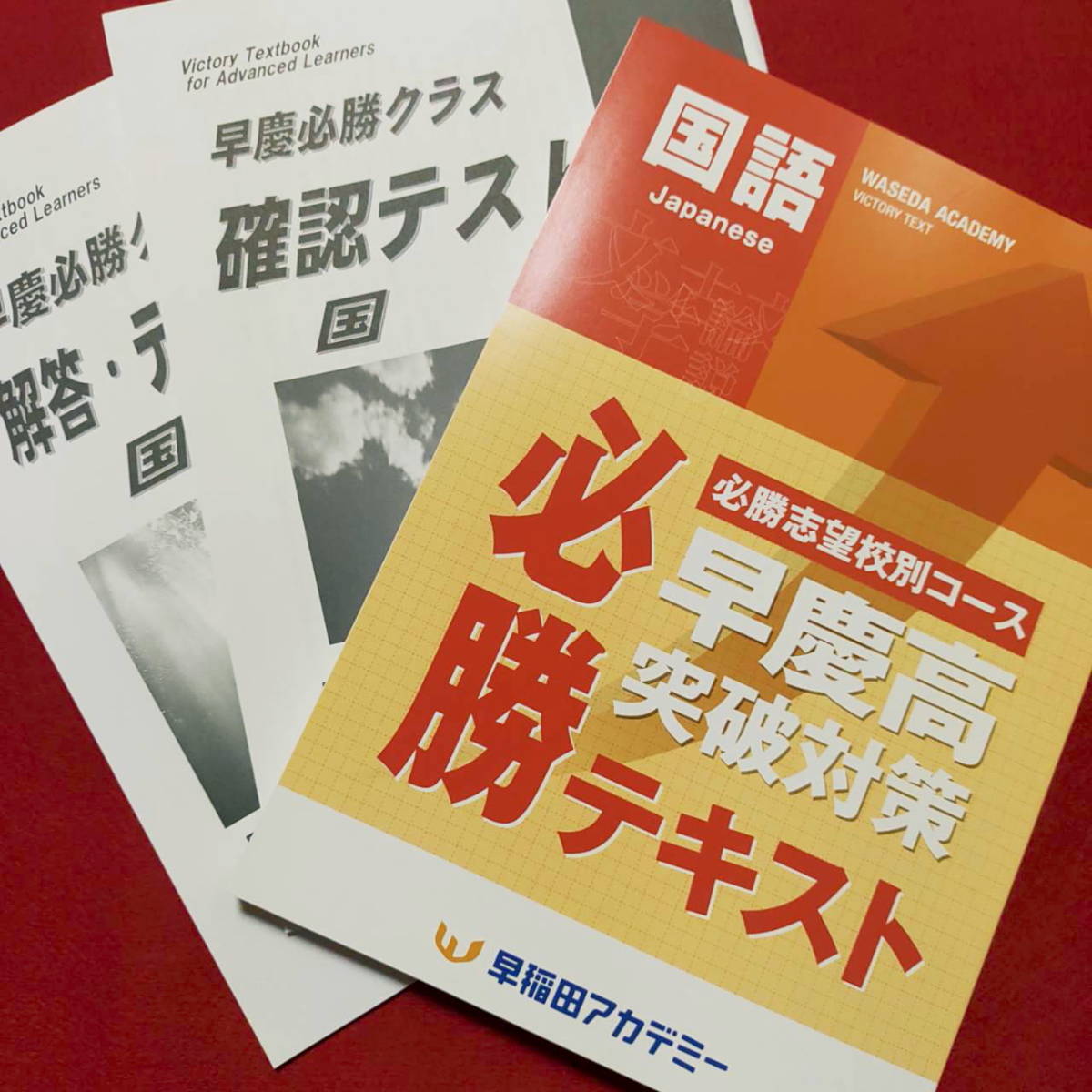 早稲田アカデミー　早慶高突破対策　必勝テキスト2022後期　国語　早稲アカ　早慶必勝　特訓クラス