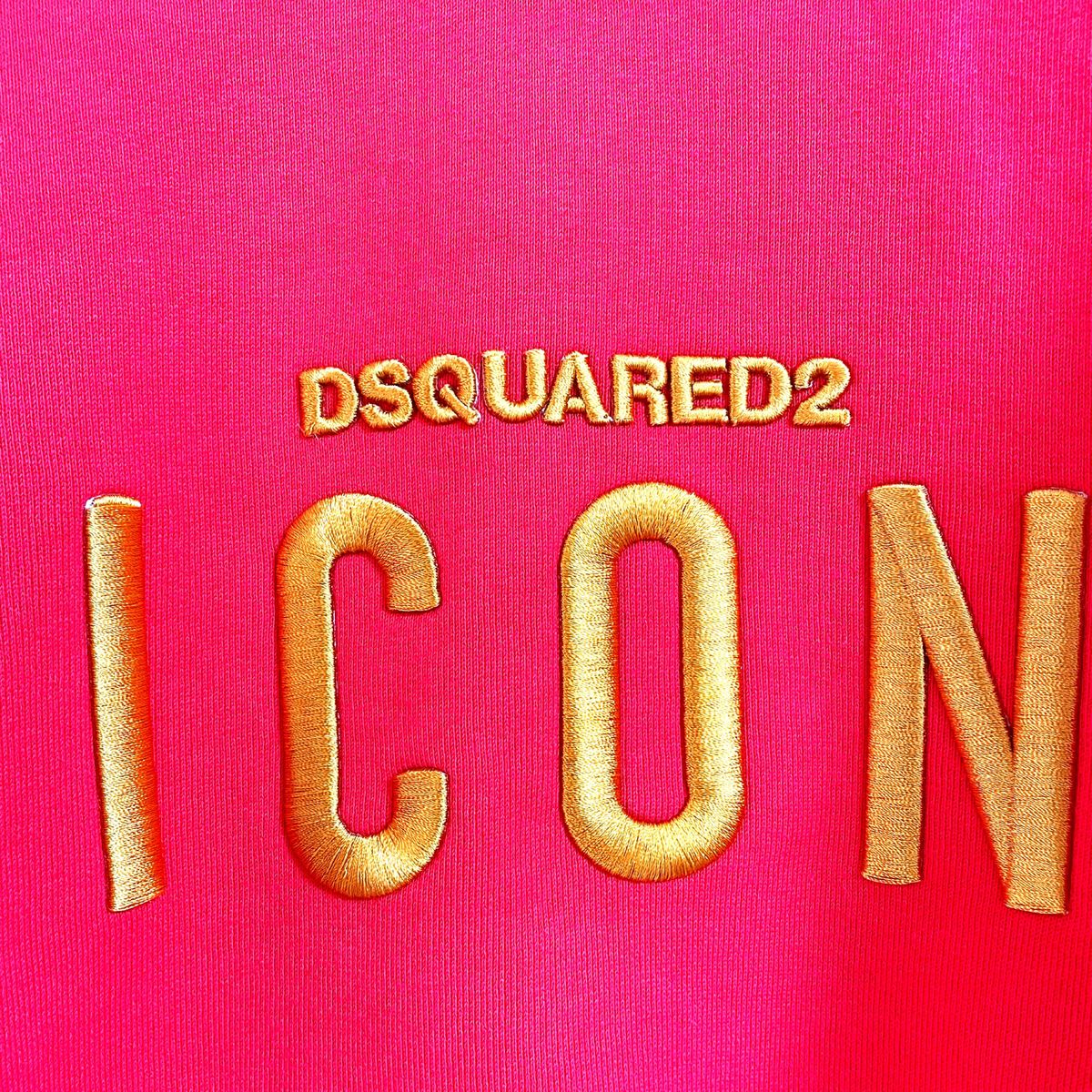 【貴重】DSQUARED2  ディースクエアード icon 刺繍スエット