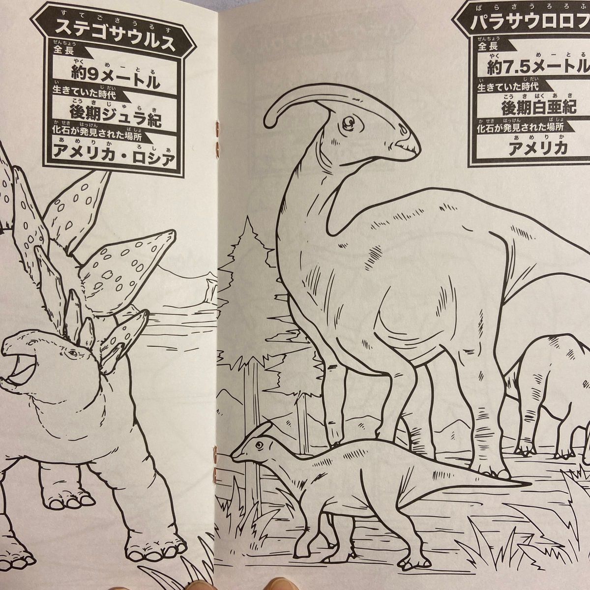 送料込み　セイカのぬりえ　恐竜　ディノ・アース　日本製　新品未使用　匿名配送
