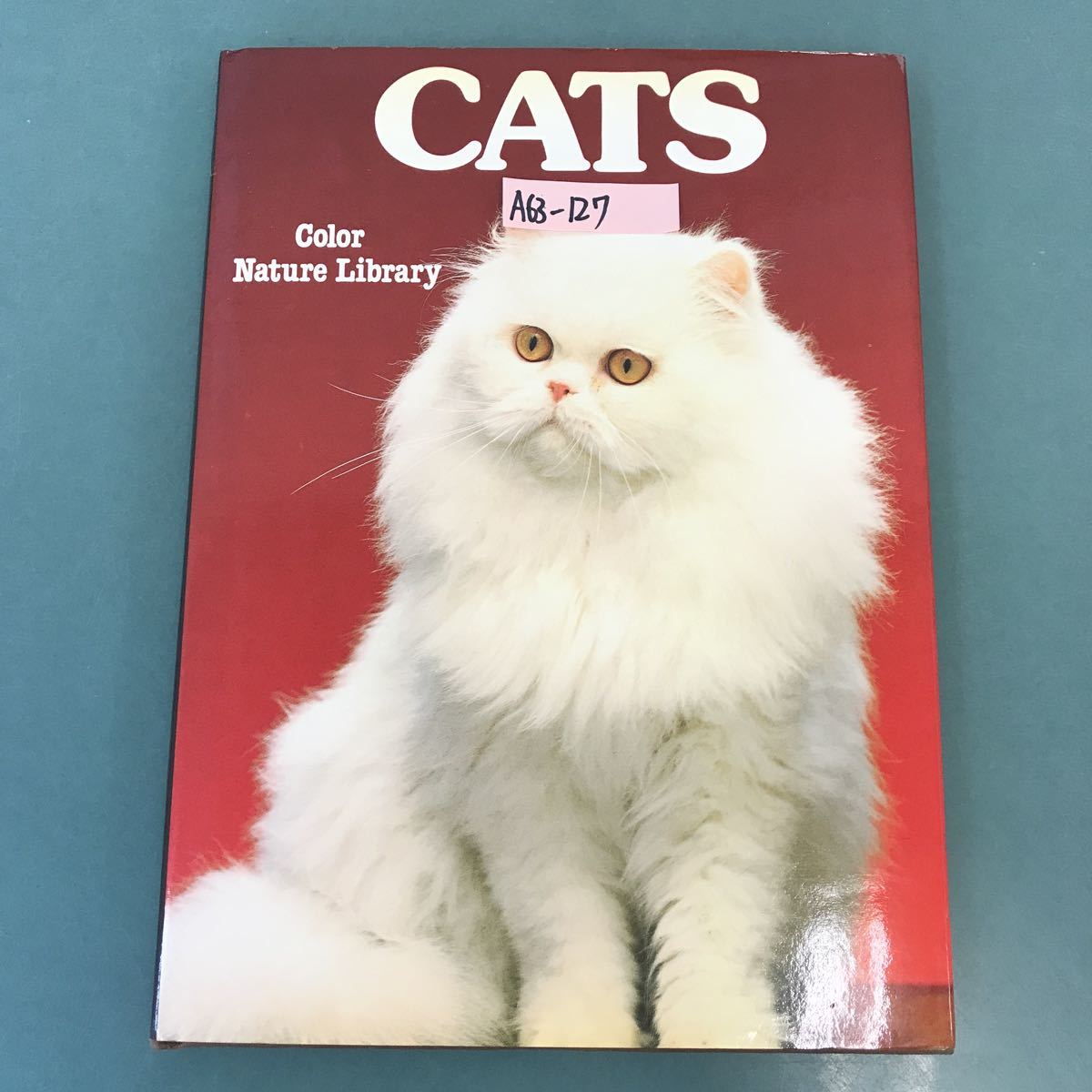 A63-127 CATS PEGGY WRATTEN CRESCENTの画像1