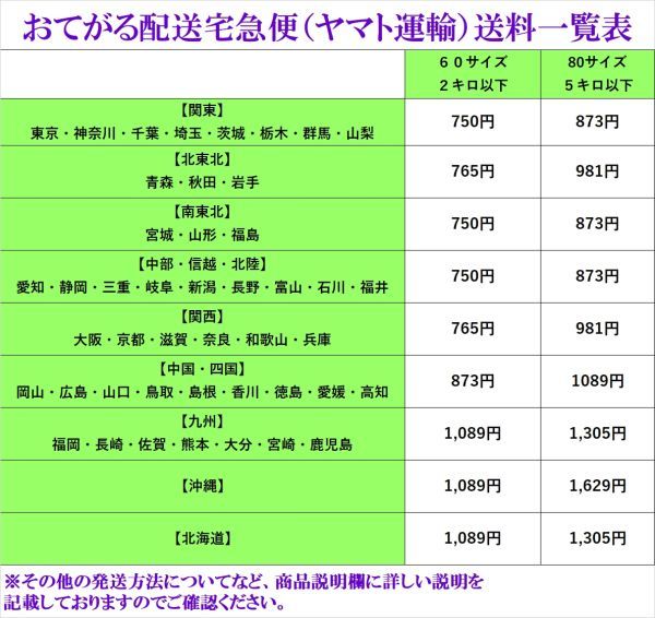 【 1000mg 100タブレット 】 sustained release ビタミンC now : ローズヒップ配合 徐々に放出される徐放タイプ 送料350円～_画像5