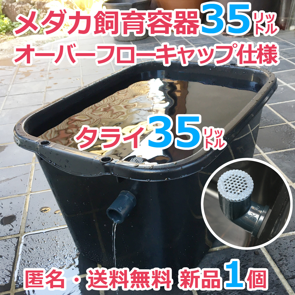 メダカ飼育容器【35㍑ 黒 1個 オーバーフローキャップ付】匿名 送料無料 金魚 メダカ飼育ケース タライ 産卵 水草 ビオトープ【五色アクアの画像1