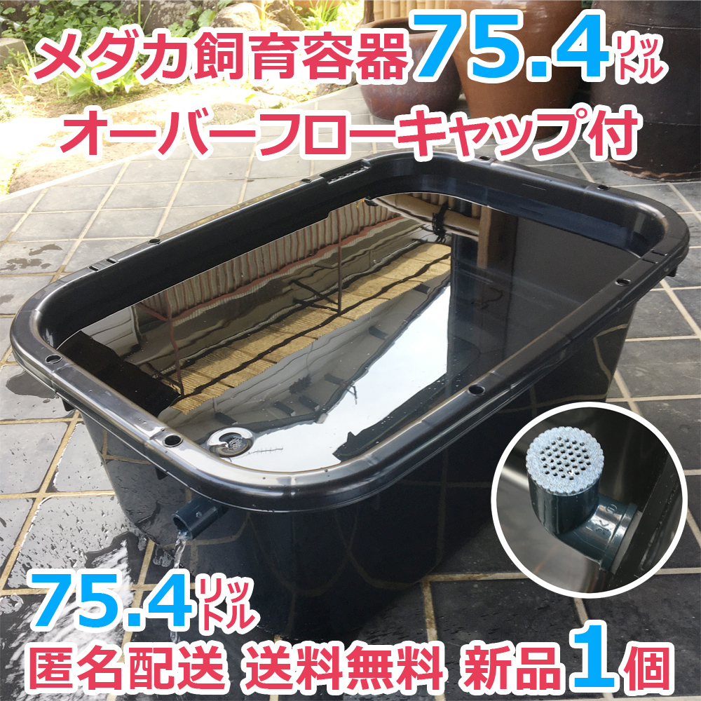 メダカ飼育容器【75㍑ 黒 1個 オーバーフロー加工済 専用キャップ付