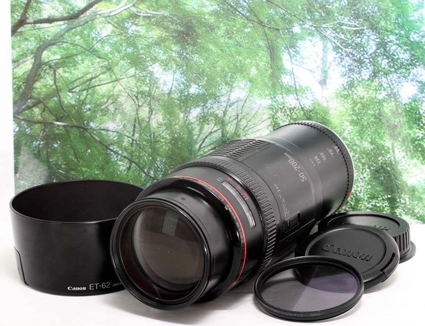 消費税無し YN ヨンヌオ YONGNUO #a695☆美品☆ 50mm CANON用 EF F1.8