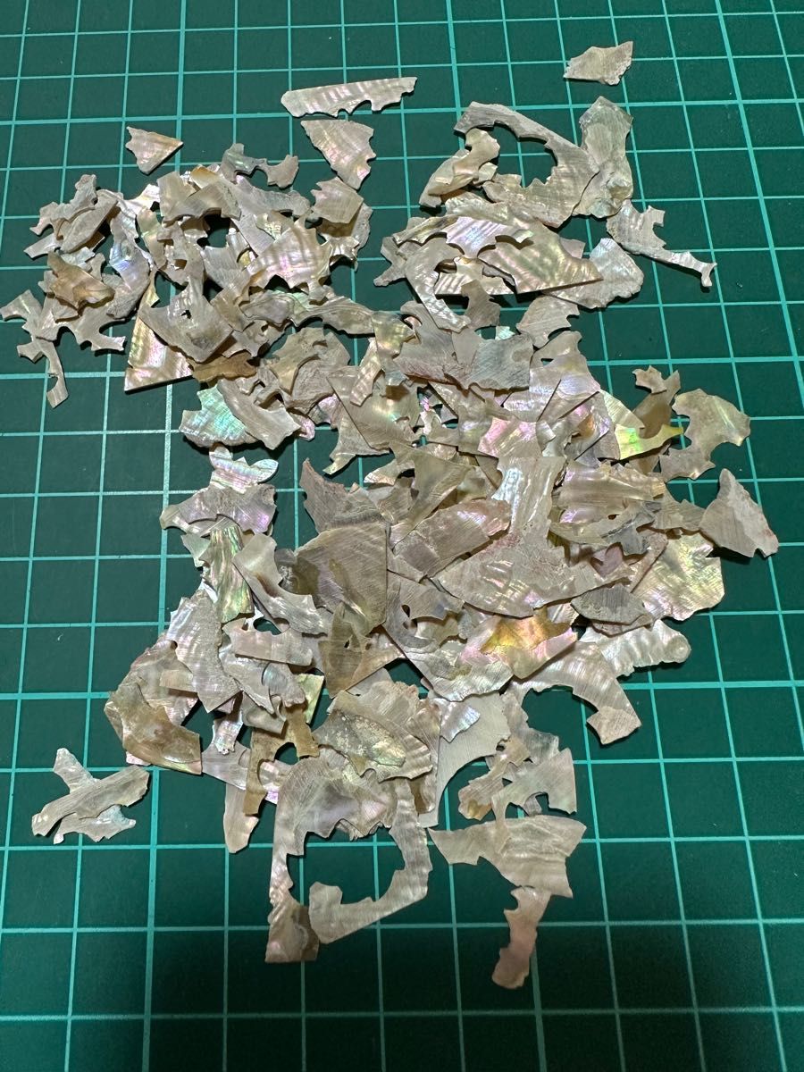 貝殻　20g