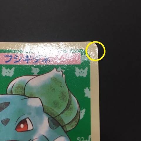 t009609 ポケモンカード トップサン 裏面青 番号なし エラーカード カードダス フシギダネ_画像3