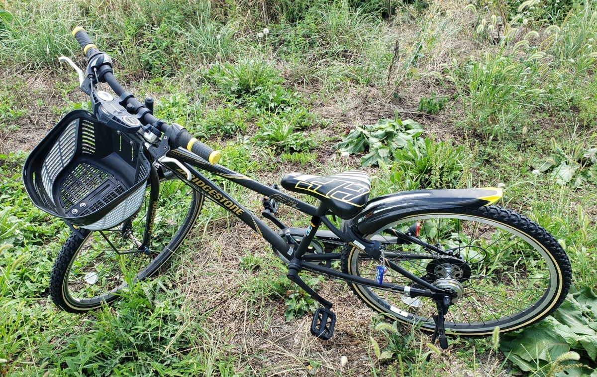 ブリジストン自転車クロスファイヤジュニアCF 675_画像1