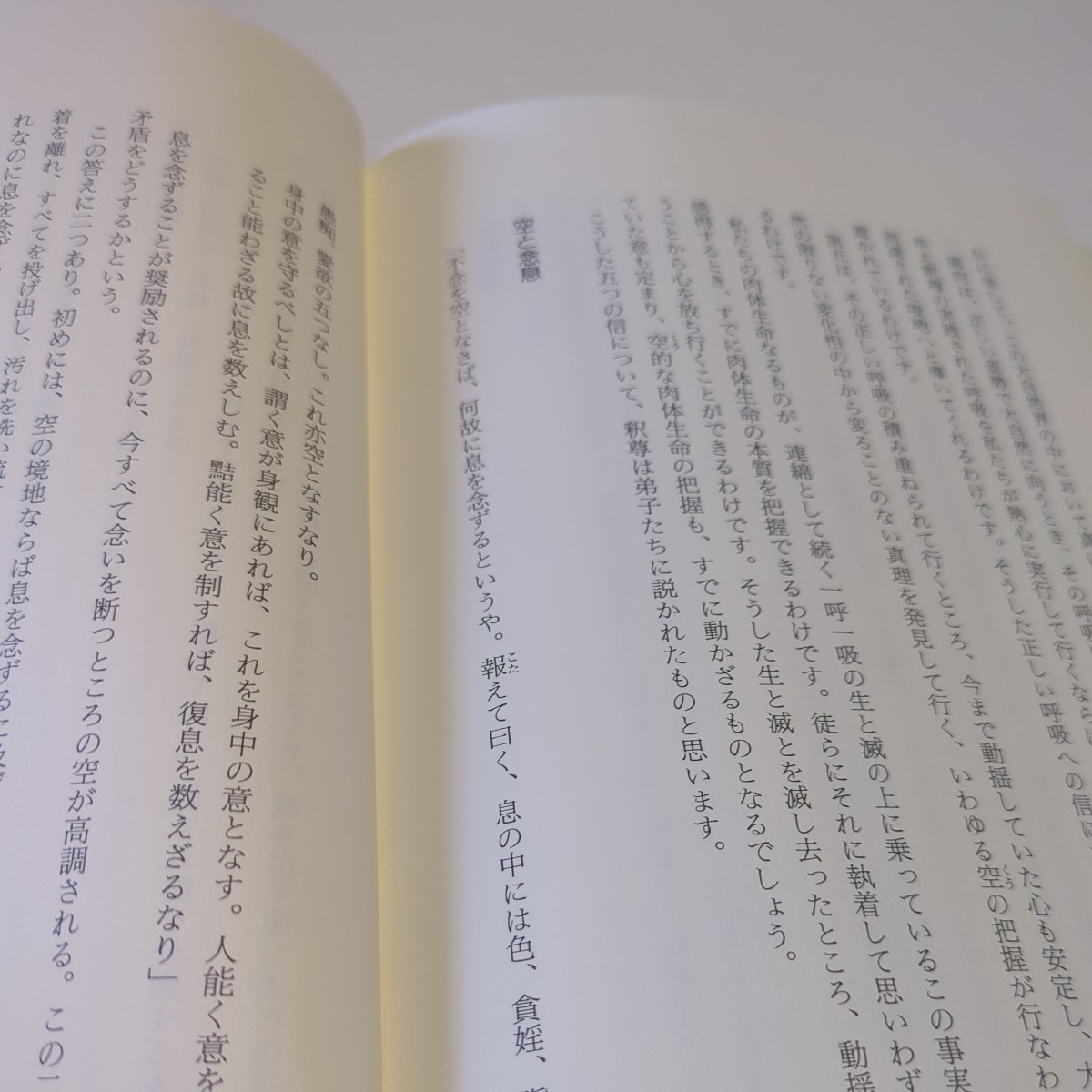 釈尊の呼吸法 大安般守意経に学ぶ 村木弘昌 春秋社 単行本 中古 ※ややよごれ有_画像7