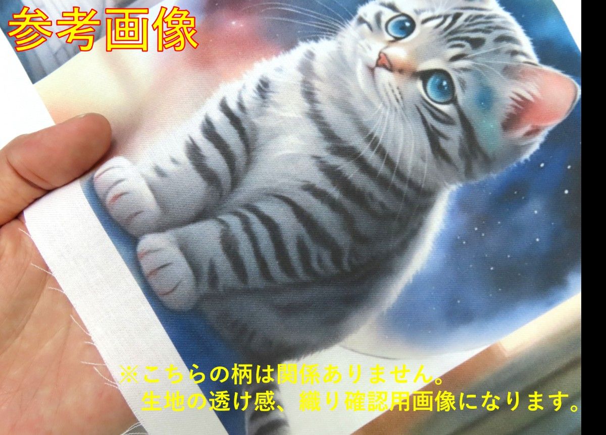 【ゆきちゃん限定】X027-1　白猫　猫　パネル柄　生地　1m