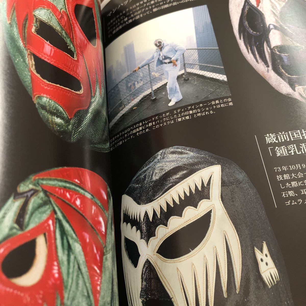 国宝級マスク研究 ミルマスカラス タイガーマスクの画像9