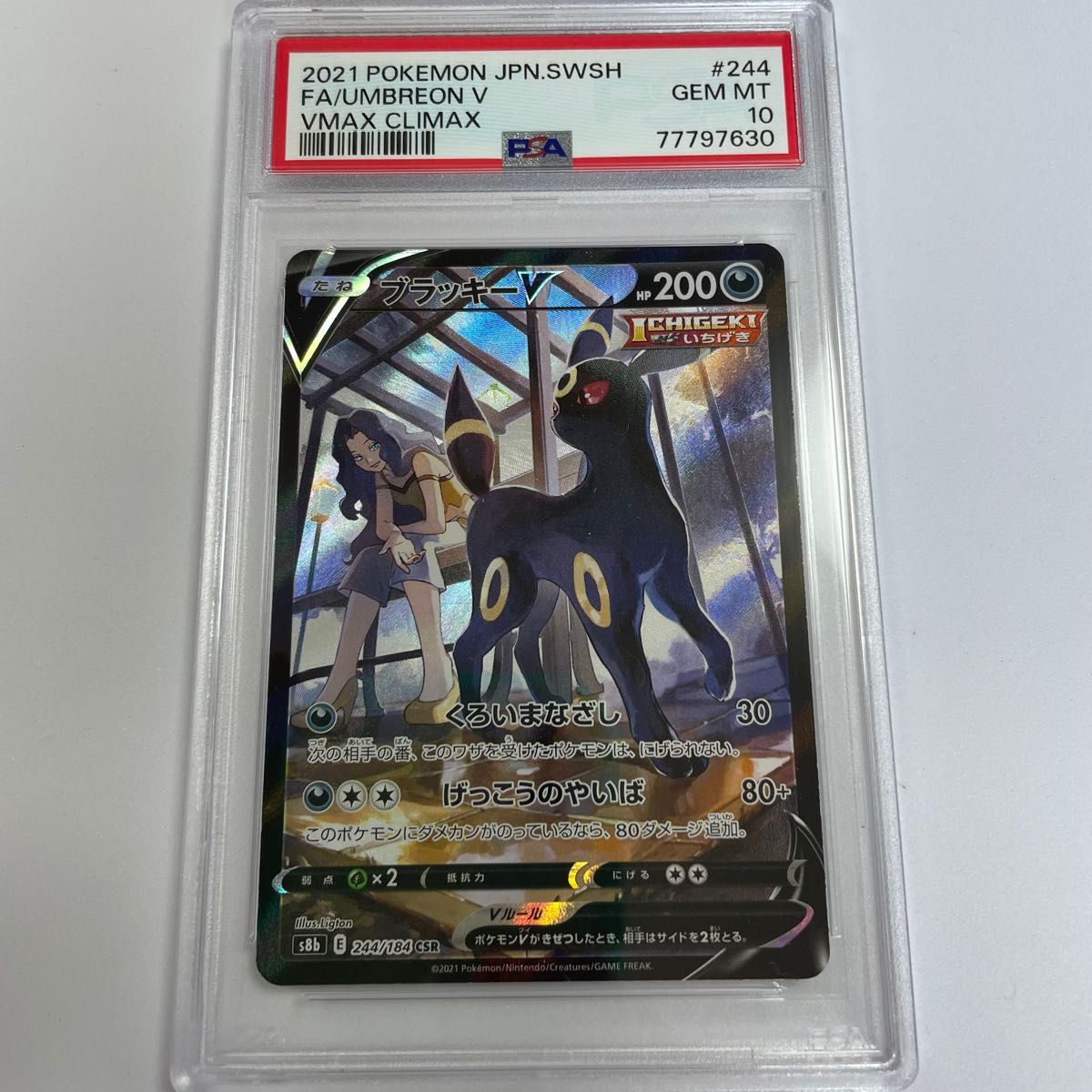 PSA10 ブラッキーV CSR Yahoo!フリマ（旧）-