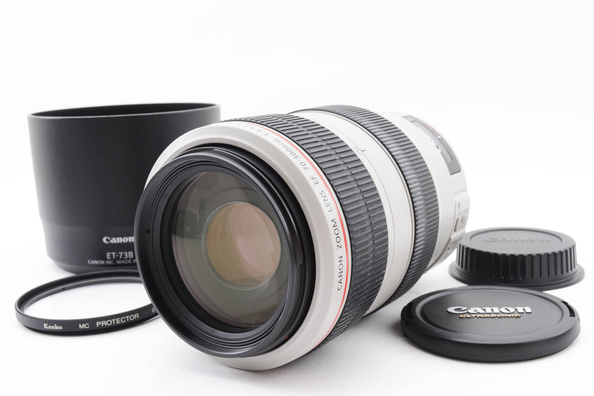 キャノン EF 70-300mm f/4-5.6 L IS USM Telephoto Zoom レンズ #2741