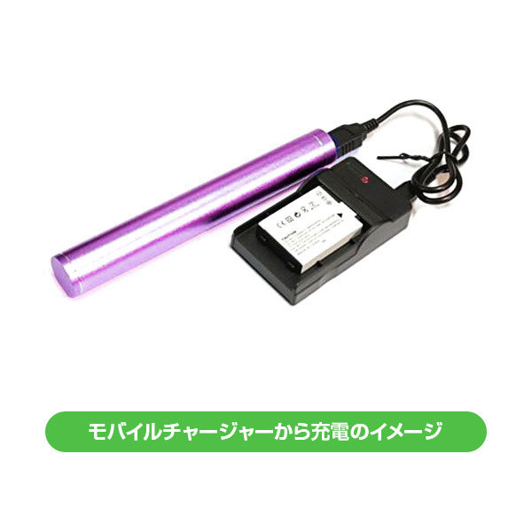 USB充電器とバッテリー2個セット DC01 と Sony ソニー NP-FM50 互換バッテリー_画像3