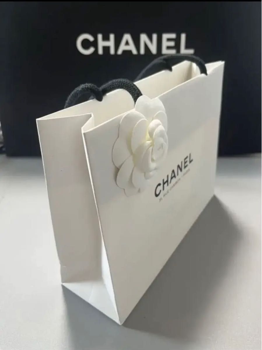 【シャネルパリ本店限定】シャネル Chanel 本店限定ショッパー ショップ袋