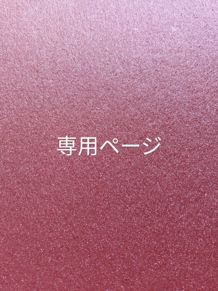 専用ページです|Yahoo!フリマ(旧PayPayフリマ)