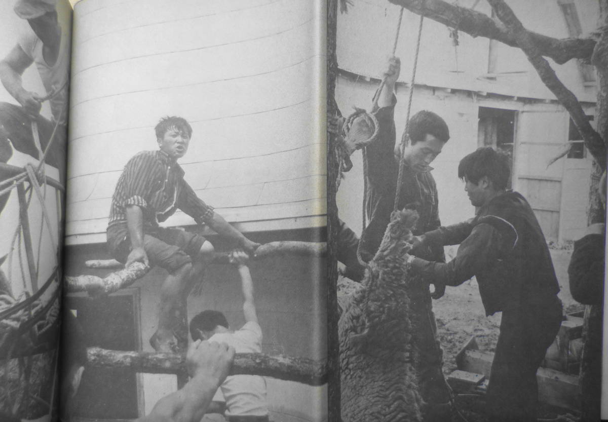 野本三吉写真集 ぼくは太陽の子どもだった　1969年初版　青年社　a_画像3