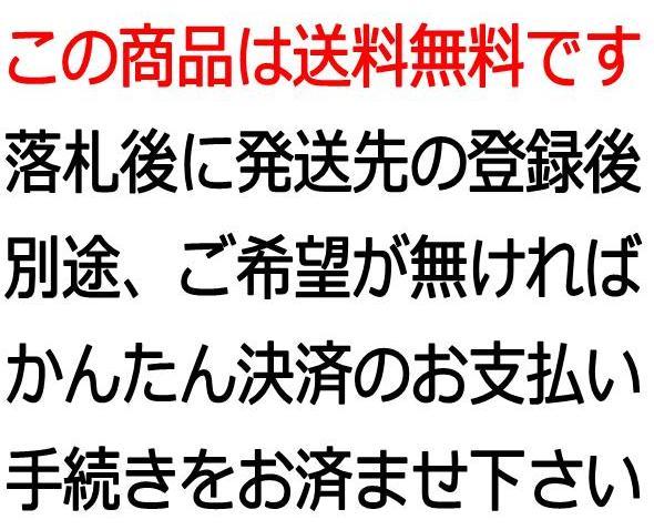 送料無料！#カット済 KDX250SR KDX200SR KLX300 KLX250R 適合 DID 520ERVT (ゴールド) 110L シールチェーン クリップジョイント _画像3