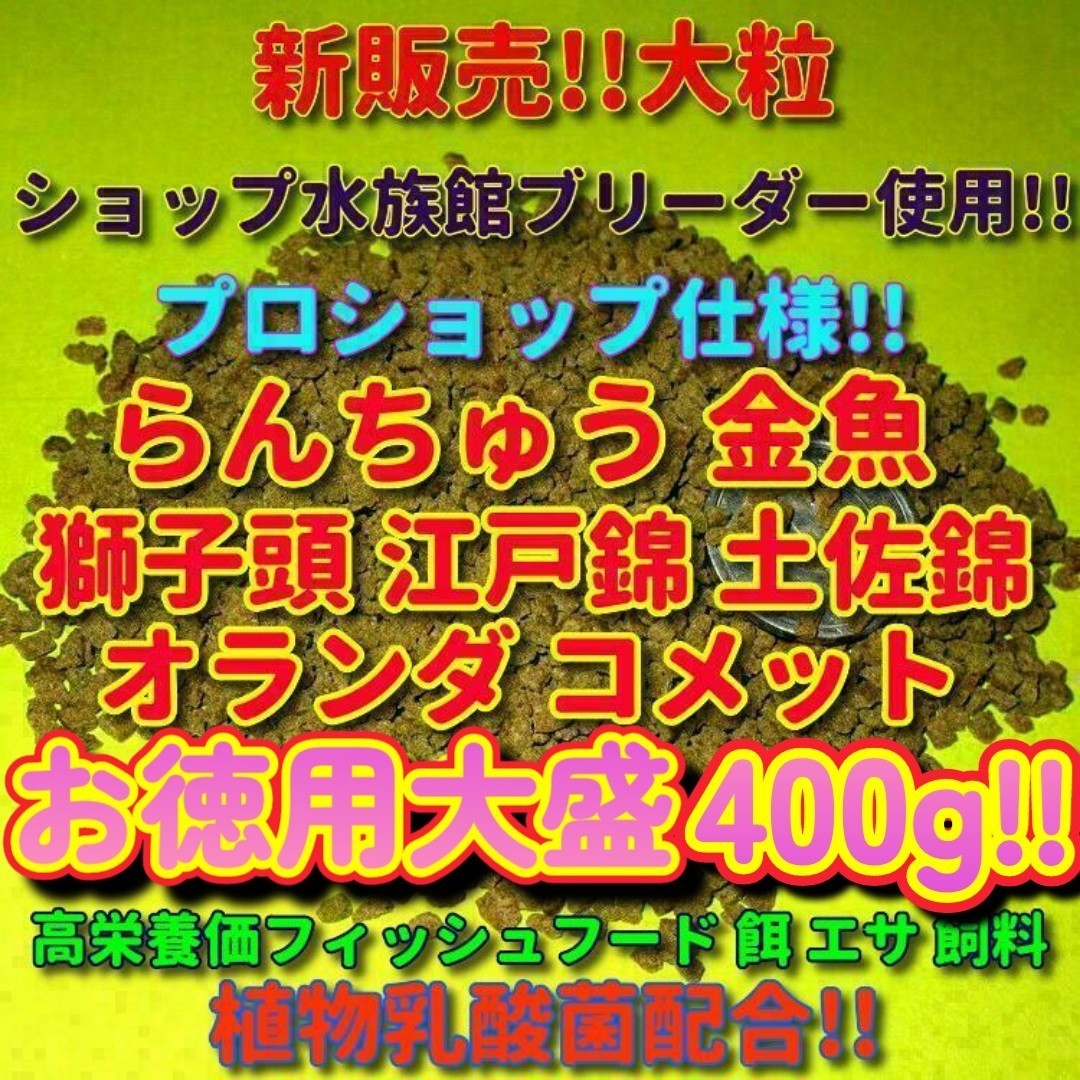 z新販売 大粒 たっぷり大盛 400g!! プロ仕様! らんちゅう 金魚 餌 エサ 飼料 ショップブリーダー使用 フィッシュフード 江戸錦 丹頂 淡水魚_画像1