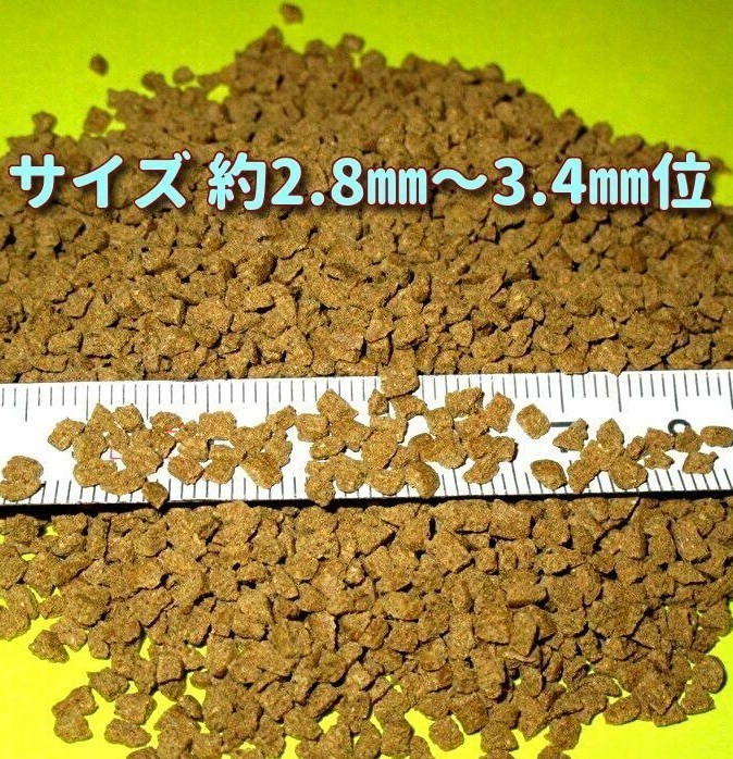 9新販売 400g!! 大粒 たっぷり大盛 プロ仕様! らんちゅう 金魚 餌 エサ 飼料 ショップブリーダー使用 フィッシュフード 江戸錦 丹頂 淡水魚_画像2