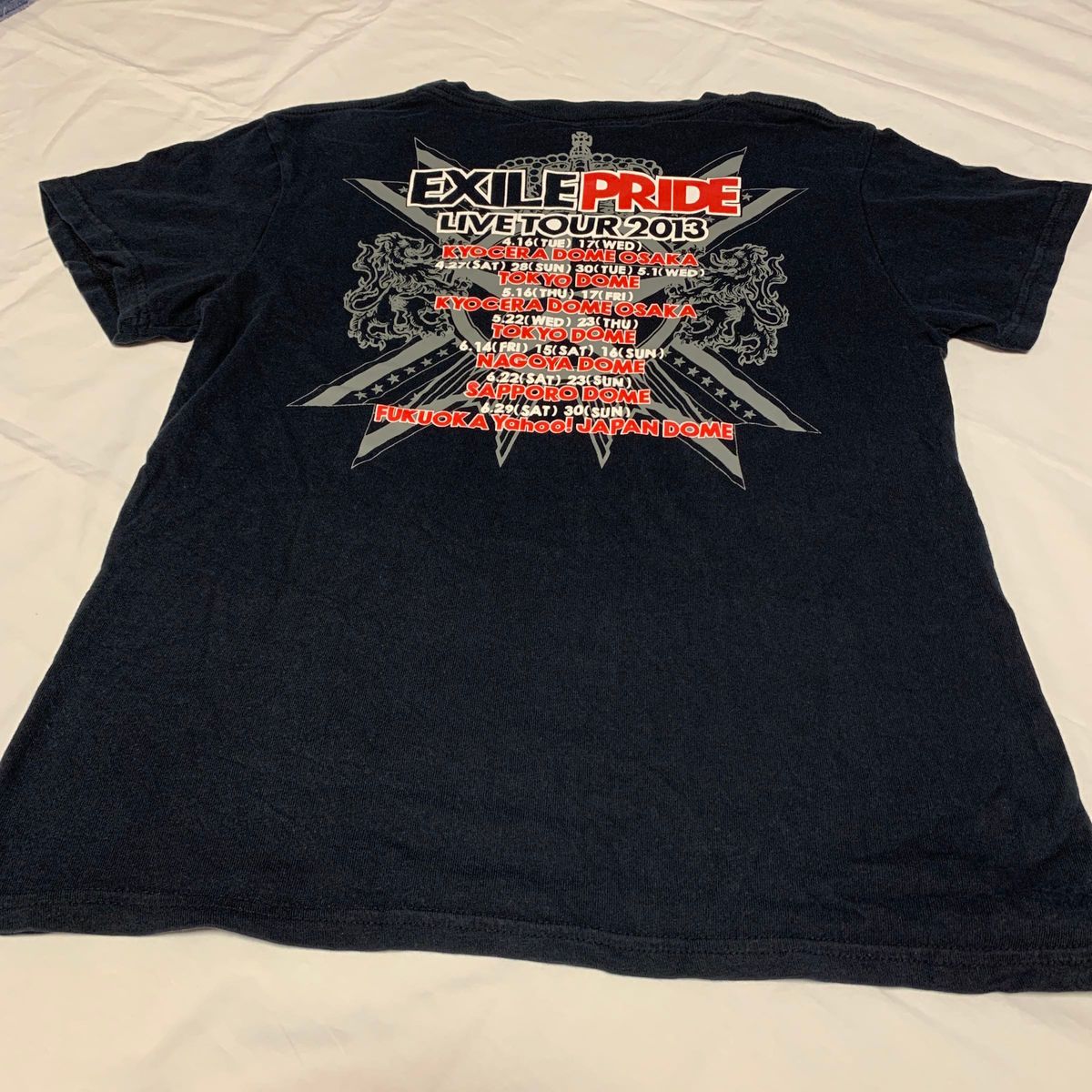 EXILE TRIBE EXILE PRIDE LIVE Tシャツ 2枚セット