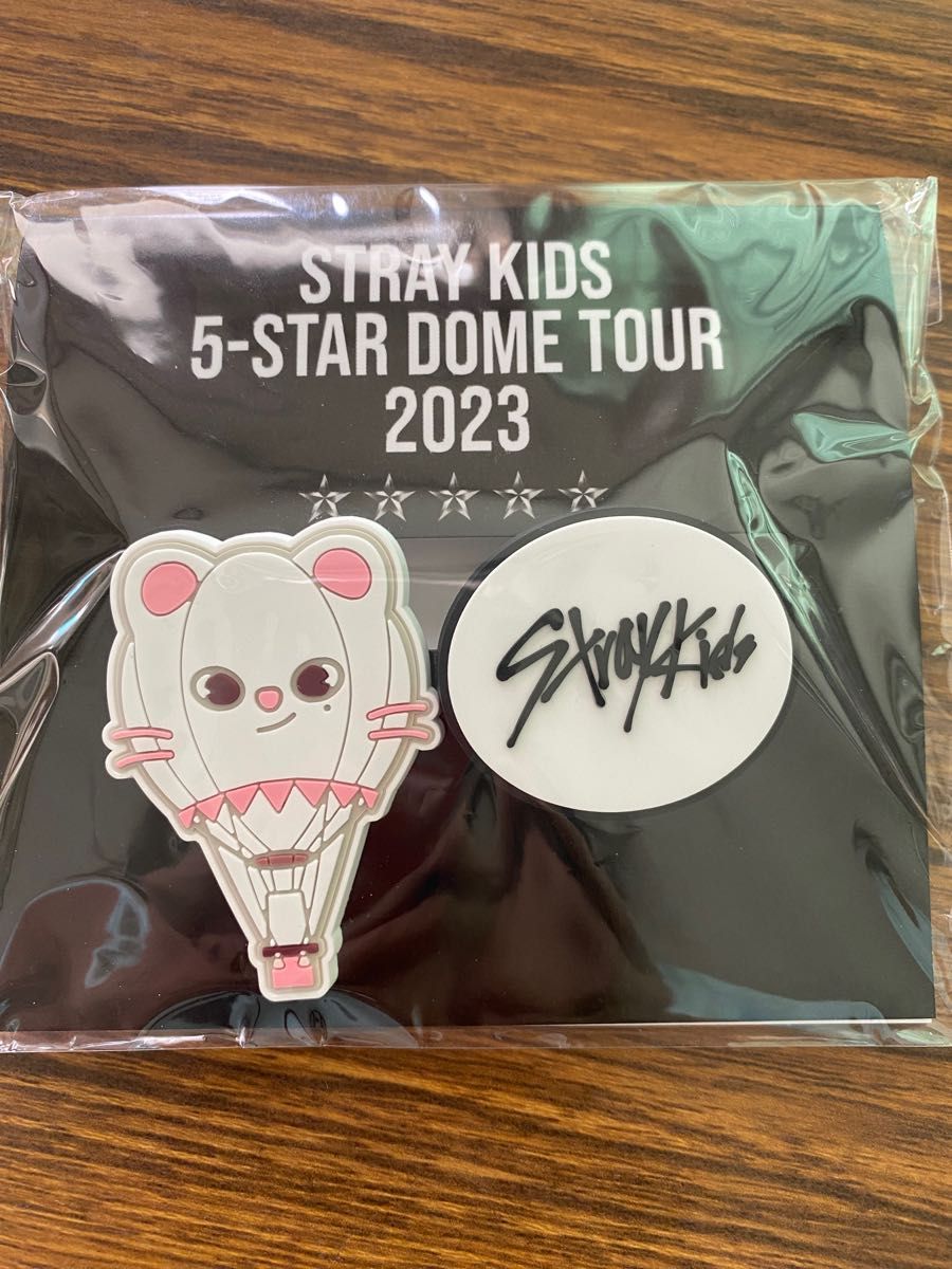 Stray Kids 5-STAR ドームツアー ラバークリップ　スンジニ