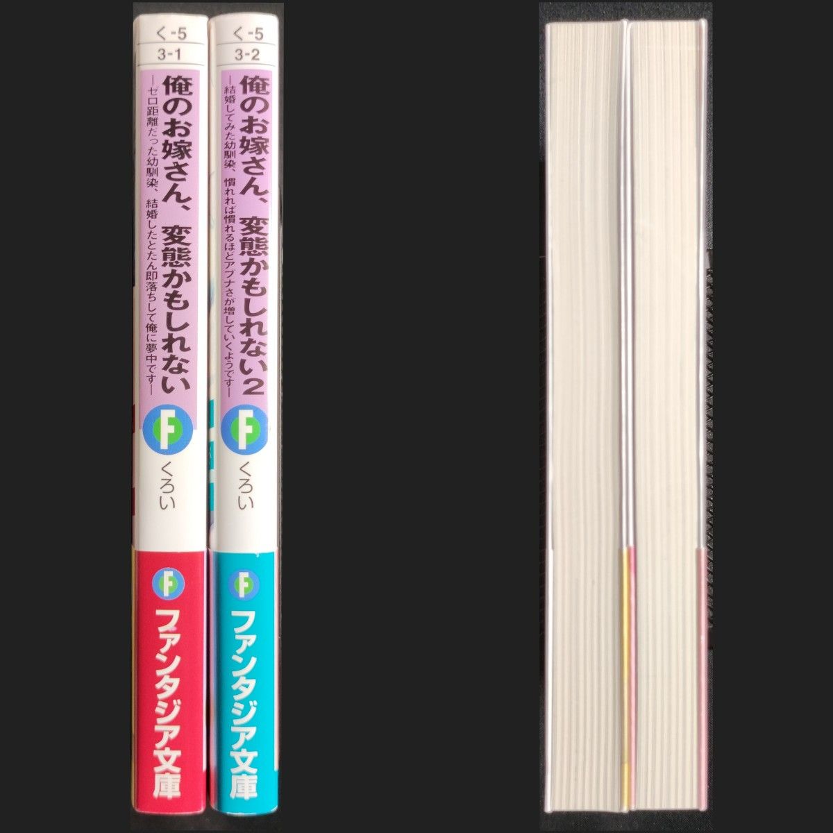 haru様専用ラノベ4冊】俺のお嫁さん 変態かもしれない １・２ 誰にも