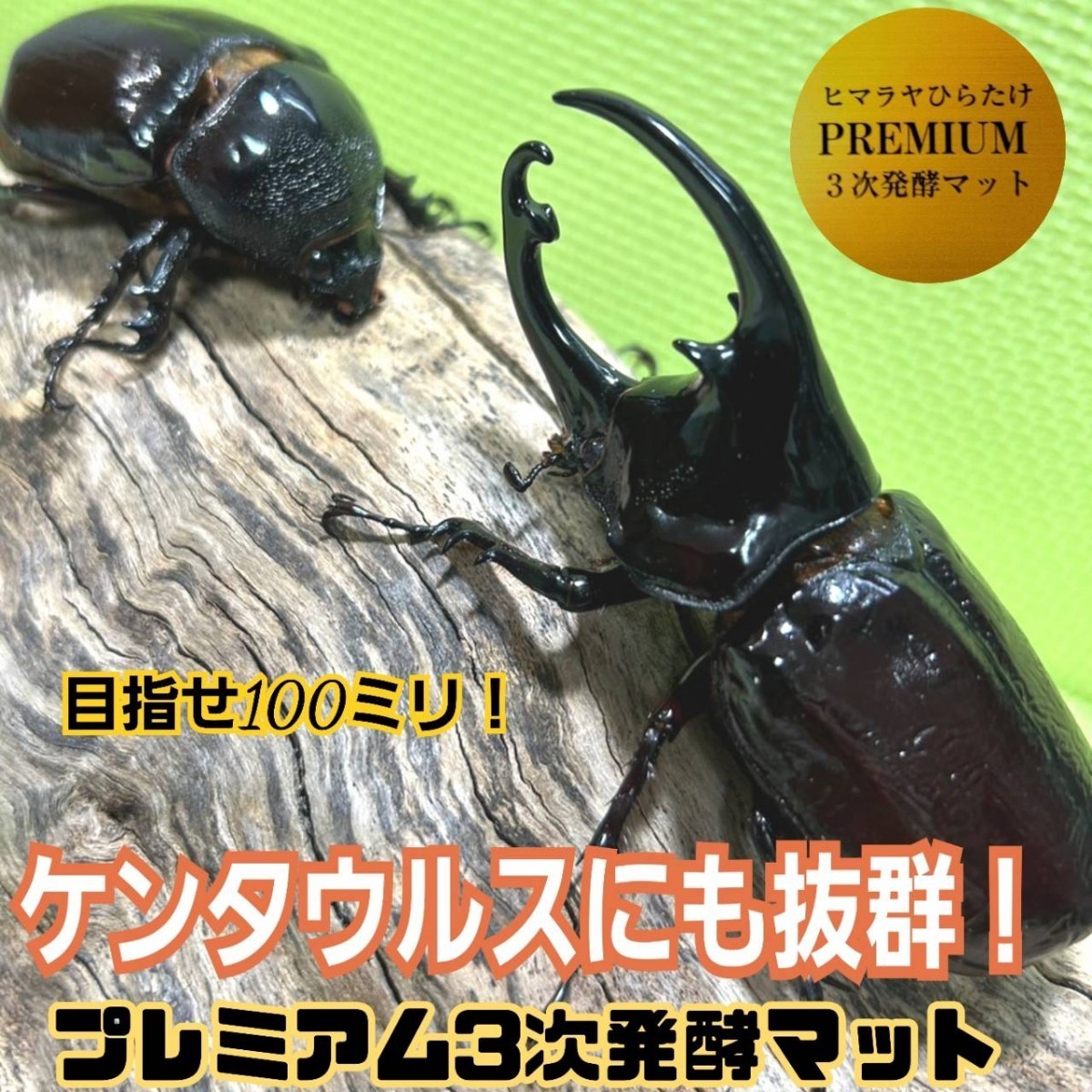 ケンタウルスにも抜群! 進化した!プレミアム3次発酵カブトムシマット【3袋】微粒子・特殊アミノ酸 共生バクテリア栄養添加剤3倍配合
