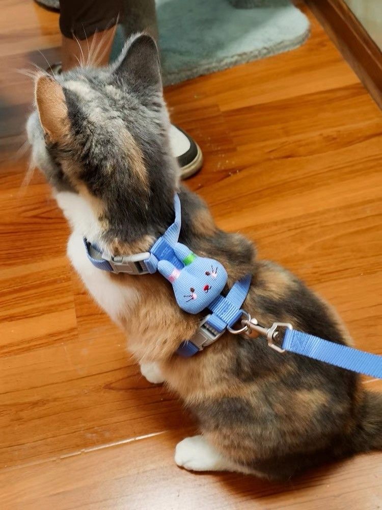 犬用 猫用 ナイロン ハーネスリードセット 首輪 胴輪 犬用品 ペットグッズ ブルー Mサイズ