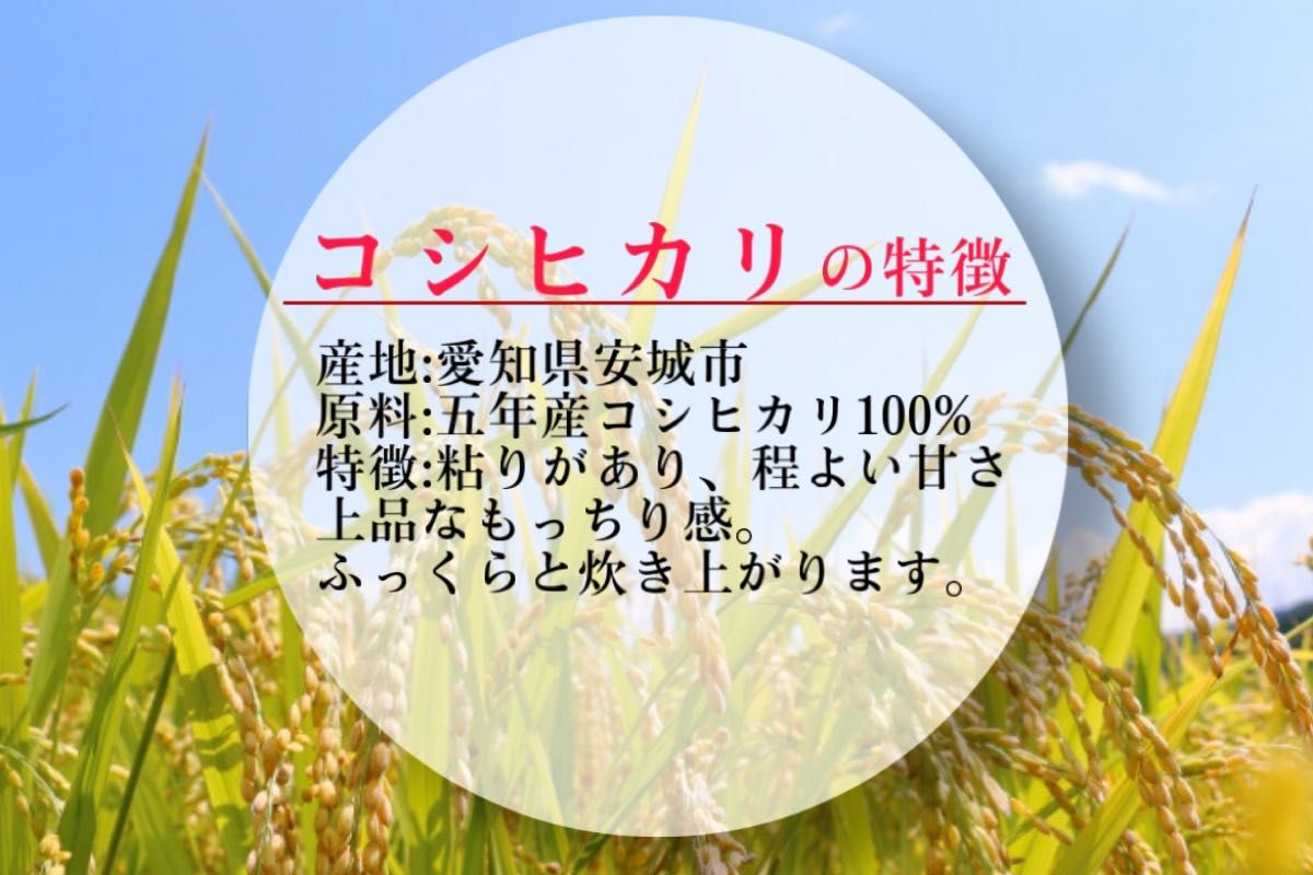 令和五年産　愛知県産コシヒカリ　20K