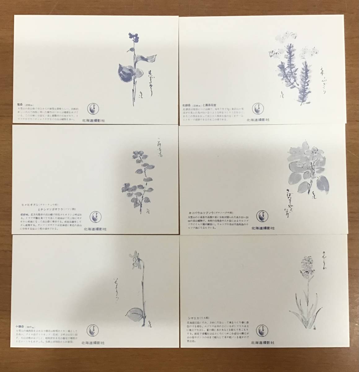 большой снежные горы . перемещение растения Mini открытка открытка с видом 20 листов ввод природа пейзаж животное растения цветок открытка 