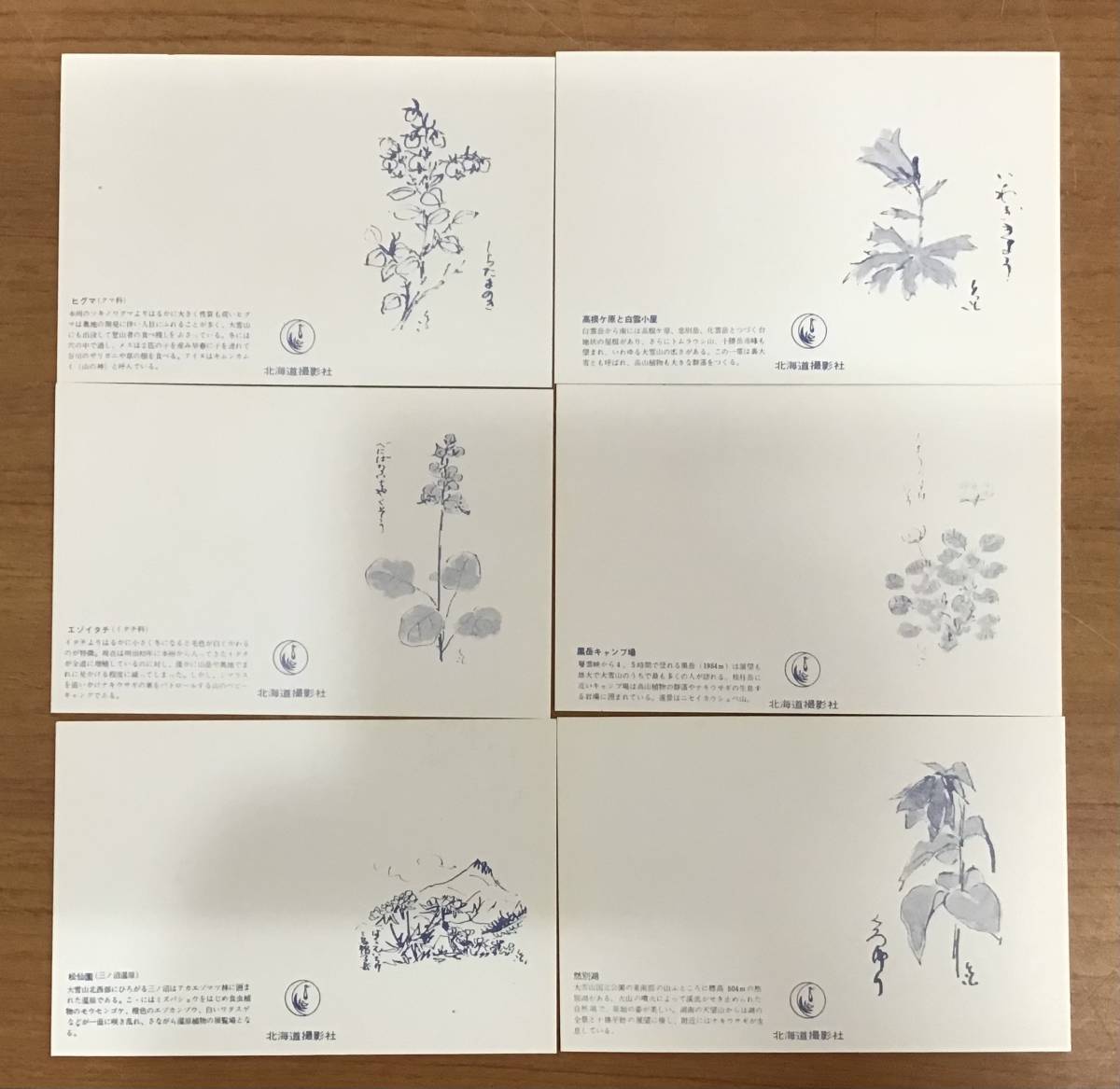 большой снежные горы . перемещение растения Mini открытка открытка с видом 20 листов ввод природа пейзаж животное растения цветок открытка 