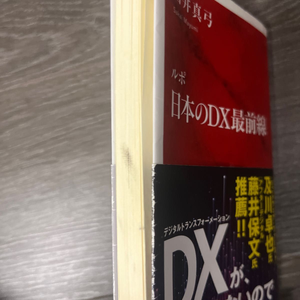 ルポ日本のＤＸ最前線 （インターナショナル新書　０７４） 酒井真弓／著