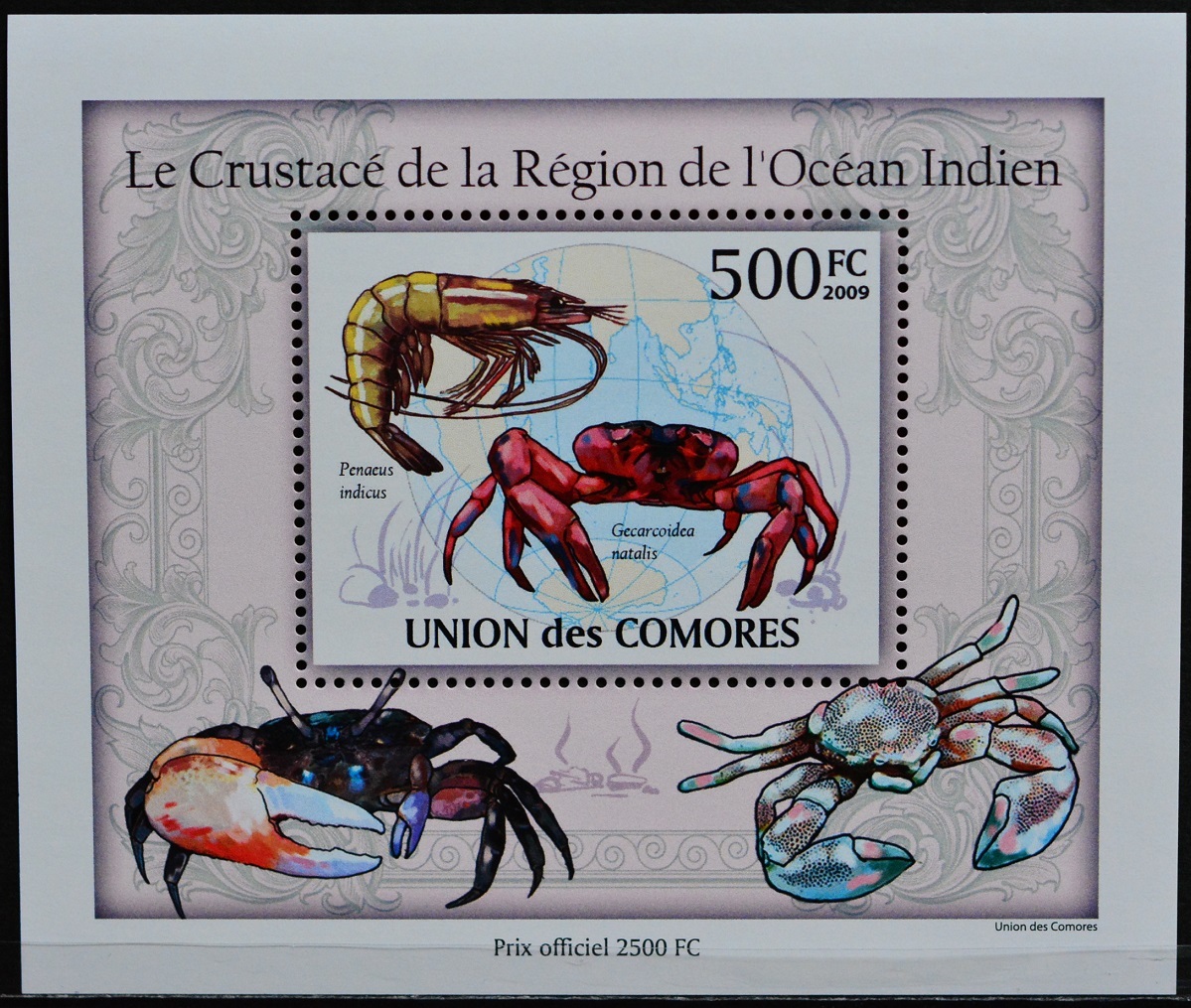 「TC308」コモロ諸島切手 2009年 カニの画像1